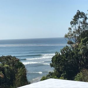 Meet your Posher, Barry